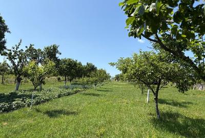 Casă individuală cu 4 camere cu Teren 676 Mp în Moldovița - 2