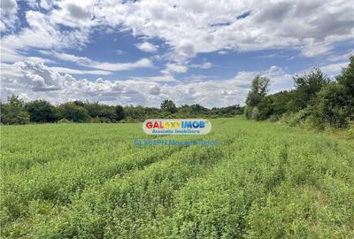 Teren 60000 mp, in Plopu, la 10 km de Ploiesti - 11