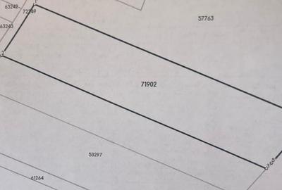 Teren industrial Magurele Teren industrial Magurele - 2