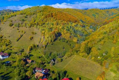 COMISION 0% Teren 11,381 mp Moieciu de Jos / Oportunitate... - 11