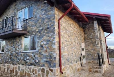 Casa Premium De Vanzare Botosani (Varfu Campului) - 2