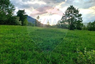 Teren Construcții intravilan de 4223 mp, în Tohănița - 11