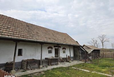 Casă cu 3 camere cu Teren 130 Mp în Cherechiu - 5