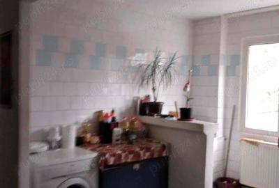 Confort 1 la etajul 2, model mare cu central #259; propie ling #259; Pia #539;a Doina - 13