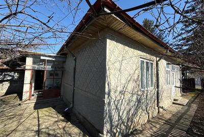 Casă individuală cu 5 camere cu Teren 5588 Mp în Bordeasca Nouă - 2