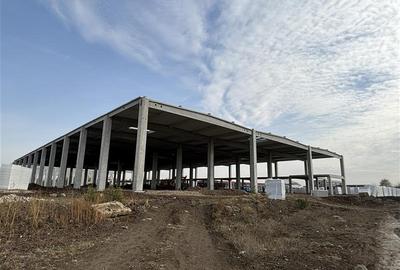 Inchiriere depozit/hala/spatiu industrial Otopeni - Odaii - Centura - 5