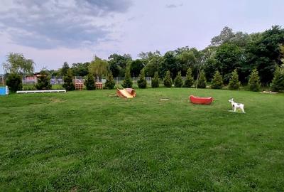 Teren 500mp cu PUZ in lucru, spre vanzare  zona Selimbar-Cisnadie - 1