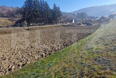 Spațiu comercial, în Băltița - 3