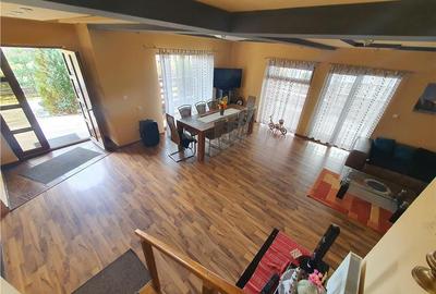 Oferta casa de vacanta P+1+M cu 1700mp teren, in Gura Raului - 14