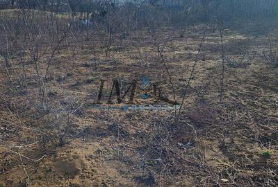 Spațiu comercial, în Central