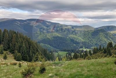 O fereastra catre cer teren de vis in Fundata, la ... - 20