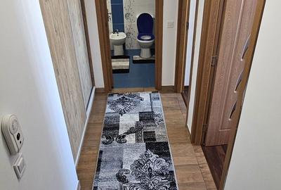 Apartament cu 2 camere decomandat în Dealu Mare - 2