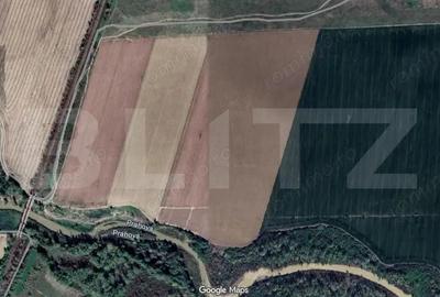 Teren agricol , Puchenii Mari, 90.000 mp - 2