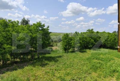 Casa spatioasa la rosu, 2024, 2800 mp teren, zona Andrieseni - 3