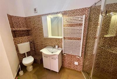 Casă individuală cu 10 camere cu Piscina în Malul Ursului - 34