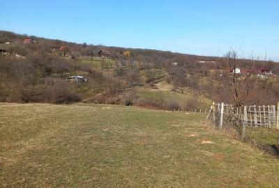 Spațiu comercial, în Rășinari