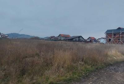 Spațiu comercial, în Sânpetru - 7