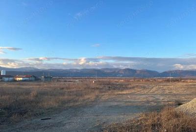 Vanzare teren intravilan 2,5 ha - infrastructura industriala ?i hala func?ionala - 3