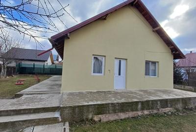 Casa 3 Camere, beci, magazie, mansarda - 500 mp Teren - 18