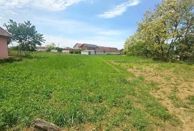 Teren de 1200 mp, în Sânnicolau Român - 3