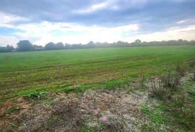 Teren Construcții intravilan de 3700 mp, în Butimanu - 6