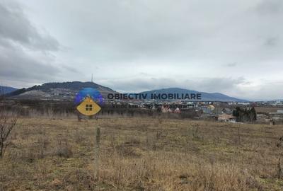 Teren intravilan 2.042 mp – Ciritei - 1