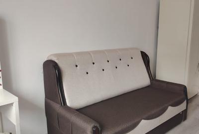 Garsonieră nedecomandată în Uzina 2 - 15