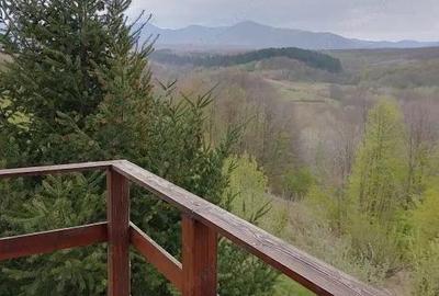 Casa superba in Saliste de Beius - 2