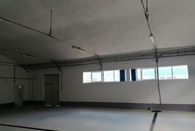 Hala de Inchiriat | Pallady | 400MP - 7