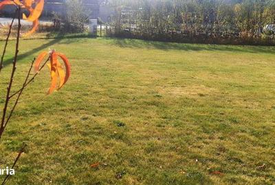 Teren de 700 mp, în Ciurila - 3