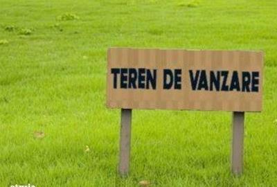 Teren de 5000 mp, în Buturugeni - 1