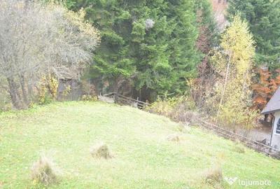 Teren de 1300 mp, în Valea Alba - 2