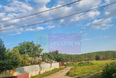 Se vinde teren 4200 mp in Teisori Giurgiu - 3