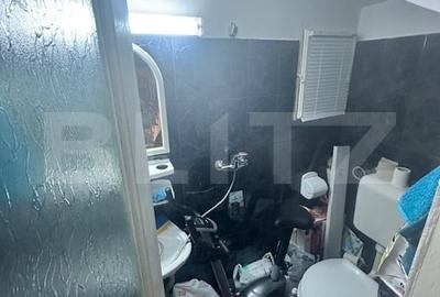 Apartament 3 Camere, Vila Rustica /Investitie Brilliant - 10