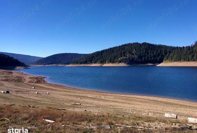 Teren de 10000 mp, în Beliș - 2