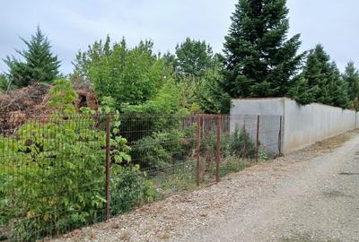 Vladiceasca, Snagov - 7