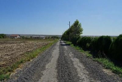 Teren de 5000 mp, în Valu lui Traian - 9