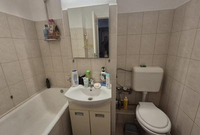 Garsonieră decomandată, mobilată în Banat - 2