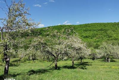 Spațiu comercial, în Budeasa - 4