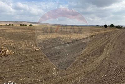 Spațiu comercial, în Ișalnița - 5