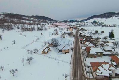 Casă cu 4 camere cu Teren 2000 Mp în Damiș - 21