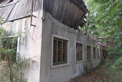 Casă cu 6 camere în Buziaș - 4