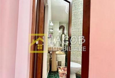 Casa la munte, comuna Bicazu Ardelean, jud. Neamt - 18