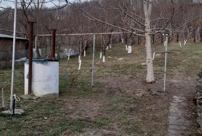 Casă cu 3 camere în Făget - 7