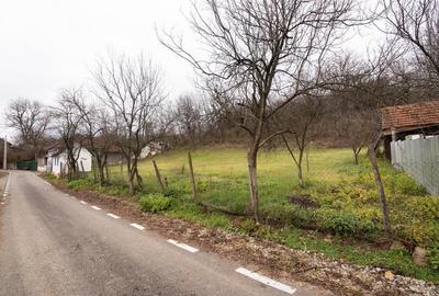 RECO Casa de vacanta la Holod- langa padure- teren 2190mp - 34