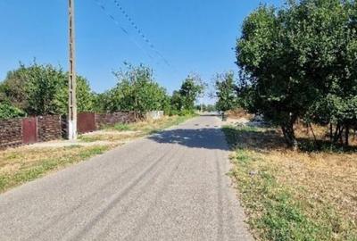 Casă cu 2 camere cu Teren 816 Mp în Curcani - 4
