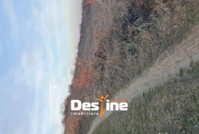 Teren de 1250 mp, în Tomești - 3