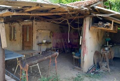 Movilita - vanzare casa 5 cam plus livada pe rod si teren 1800 mp - 51