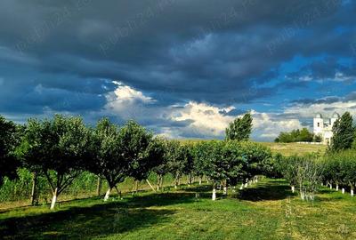 Casă cu 6 camere cu Teren 3000 Mp în Cataloi - 4