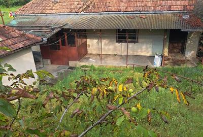 Casă cu 3 camere cu Teren 1400 Mp în Gâlgău - 6